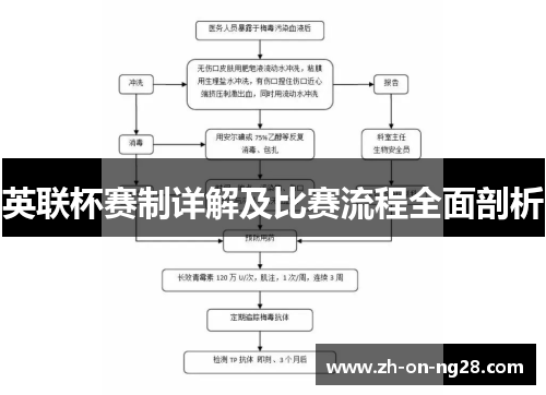 英联杯赛制详解及比赛流程全面剖析