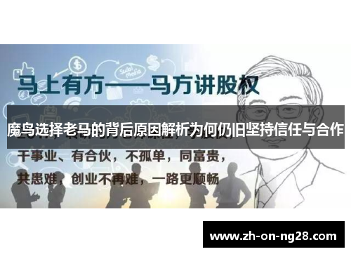 魔鸟选择老马的背后原因解析为何仍旧坚持信任与合作 魔鸟选择老马的背后原因解析为何仍旧坚持信任与合作